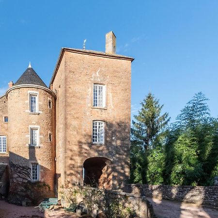 Chateau De Salornay Hurigny エクステリア 写真