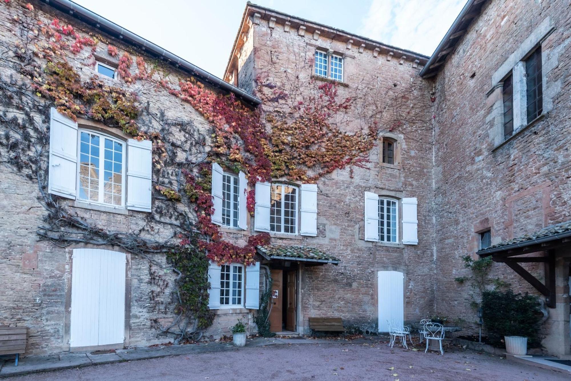Chateau De Salornay Hurigny エクステリア 写真