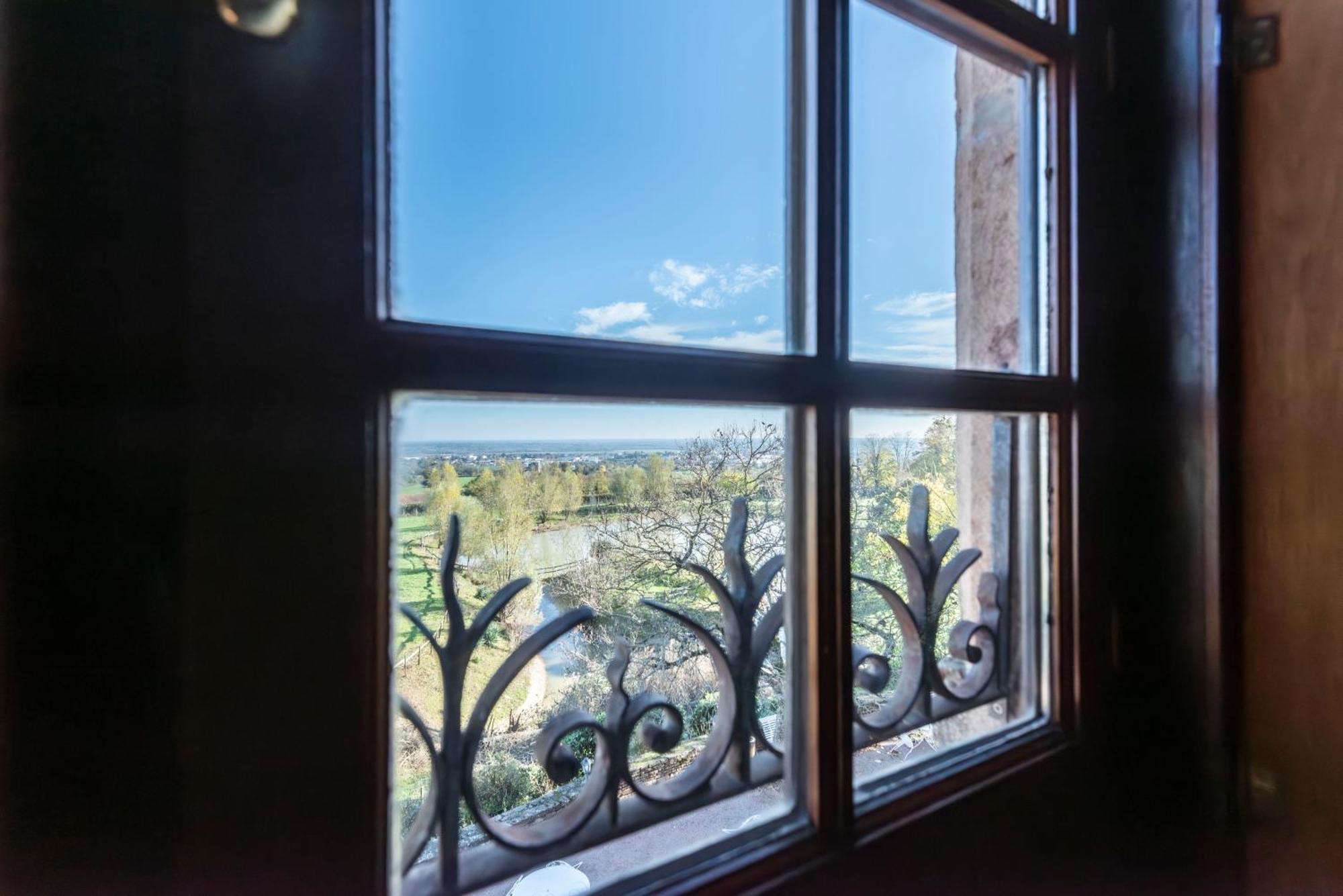 Chateau De Salornay Hurigny エクステリア 写真